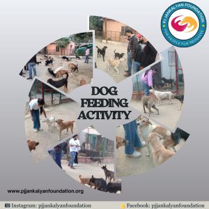 WhatsApp Image 2026-03-20 at 6.26.49 PM